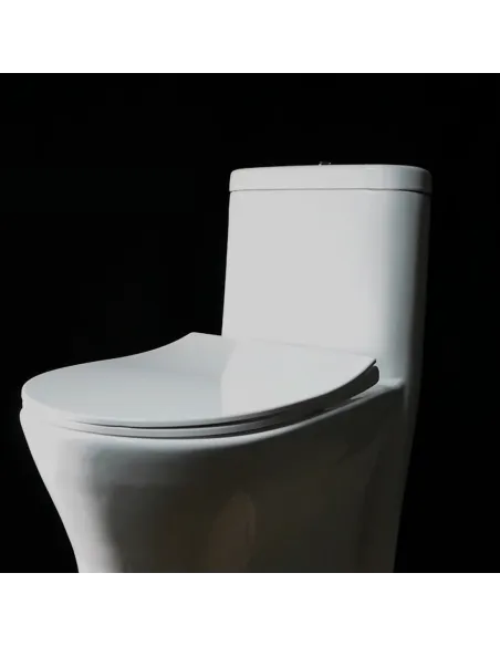 Унитаз-компакт Asignatura Advance 95802505 c функцией пенообразования, сиденье микролифт - 1