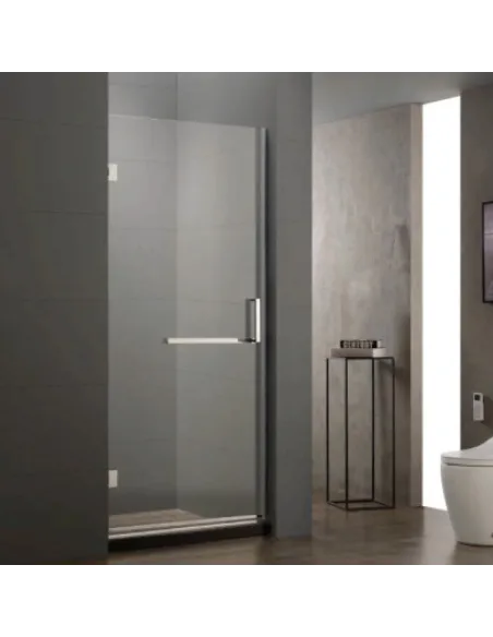 Душевая стеклянная дверь Asignatura Turia 39040409 90х190 мм распашная - 1