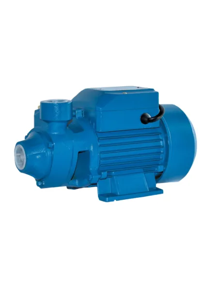 Поверхностный насос Euroaqua PKM 60 0.37 кВт, чугун - 1