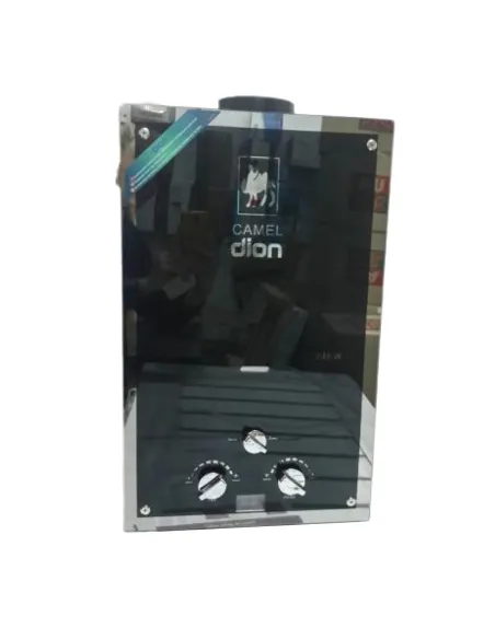 Колонка газова Діон JSD 10 малюнок верблюд, дисплей, димохідна - 1