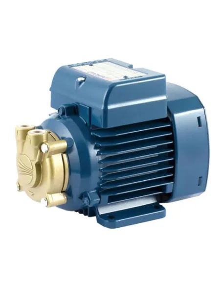 Центробежный поверхностный насос Pedrollo PV 55 0.18 кВт - 1