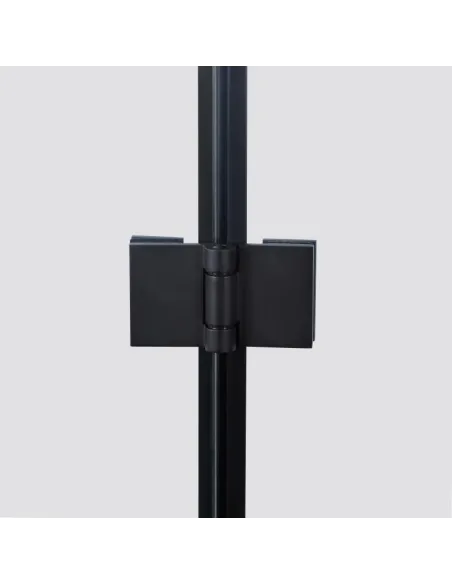 Душова кабіна без піддону Q-Tap Capricorn BLA10128RC6 Clear, покриття CalcLess - 4