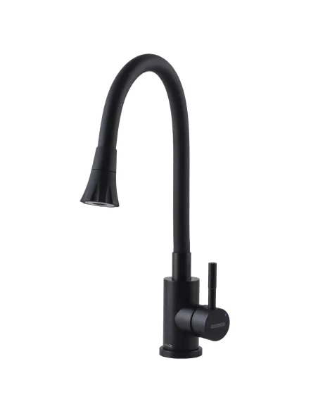 Смеситель для кухни с гибким изливом Globus Lux Alpen SBT1-203SA-BB-B01 с насадкой - 1