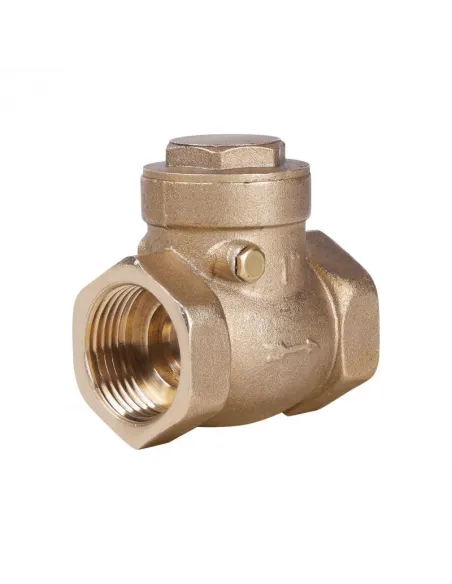 Клапан зворотного ходу SD Plus SD242W25 1 дюйм, пелюстковий, низький тиск - 1 Клапан зворотного ходу SD Plus SD242W25 1 дюйм, пелюстковий, низький тиск - 1