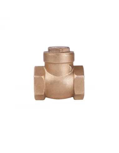 Клапан зворотного ходу SD Plus SD242W25 1 дюйм, пелюстковий, низький тиск - 3