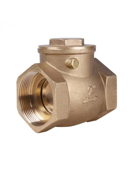 Клапан зворотного ходу SD Plus SD242W50 2 дюйми, пелюстковий, низького тиску - 1 Клапан зворотного ходу SD Plus SD242W50 2 дюйми, пелюстковий, низького тиску - 1