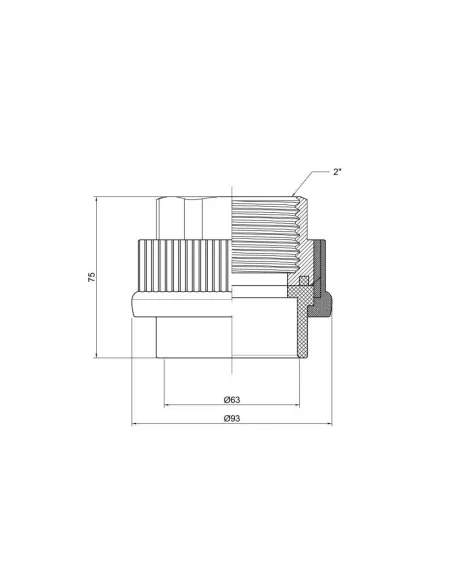 Муфта для полипропиленовых труб Thermo Alliance ВР 63 х 2 дюйма - 2 Муфта для полипропиленовых труб Thermo Alliance ВР 63 х 2 дюйма - 2
