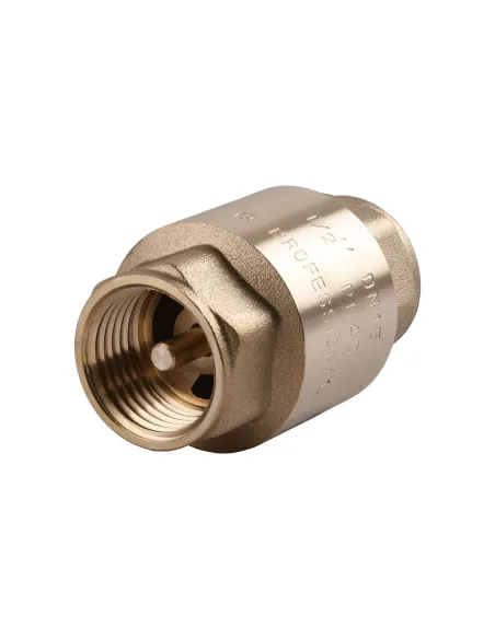 Обратный клапан Quality Professional QP100 1/2 дюйма, с латунным штоком - 1