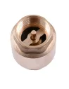 Обратный клапан Quality Professional QP100 1/2 дюйма, с латунным штоком - 2