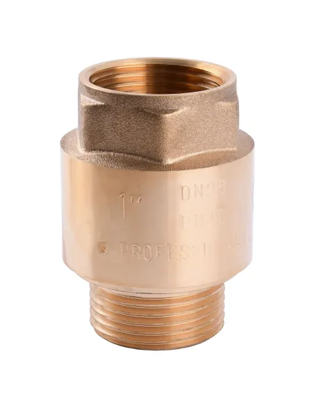 Обратный клапан Quality Professional QP100MF НВ 1 дюйм, с латунным штоком - 1 Обратный клапан Quality Professional QP100MF НВ 1 дюйм, с латунным штоком - 1