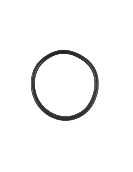 Кільце ущільнювача для корпусу мембрани Raifil First Line 8040, 1 дюйм купити в Дніпрі та Києві - ціна від КТУ