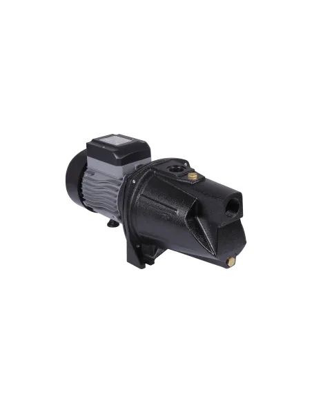 Центробежный поверхностный насос Thermo Alliance D-JSWm-15M 1,1 кВт  - 1