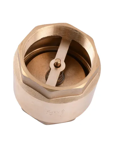 Обратный клапан Solomon C6022 3 дюйма, латунный шток