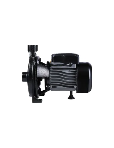 Центробежный поверхностный насос Thermo Alliance CPm145/1, 0,55 кВт