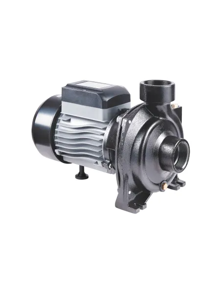 Центробежный поверхностный насос Thermo Alliance CPm200/2, 1,5 кВт