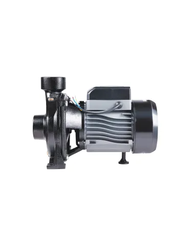 Центробежный поверхностный насос Thermo Alliance CPm200/2, 1,5 кВт