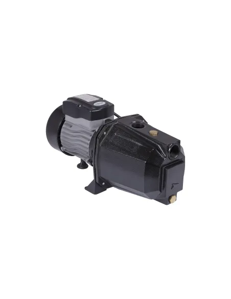 Центробежный поверхностный самовсасывающий насос Thermo Alliance D-JETm100M, 0,75 кВт Центробежный поверхностный самовсасывающий насос Thermo Alliance D-JETm100M, 0,75 кВт