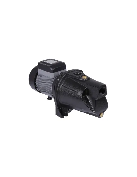 Центробежный поверхностный самовсасывающий насос Thermo Alliance D-JSWm-20M, 1,5 кВт