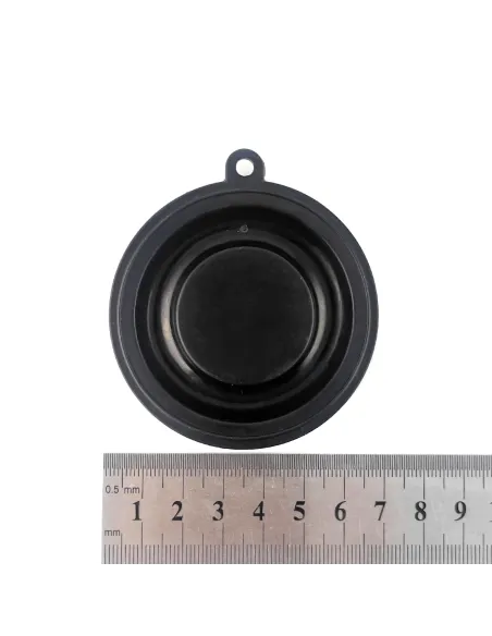 Мембрана для соленоидного клапана Raifil Sanlixin SLP1DF02NG 25, 1 дюйм