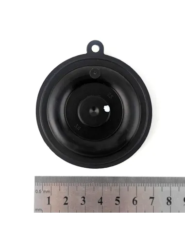 Мембрана для соленоидного клапана Raifil Sanlixin SLP1DF02NG 25, 1 дюйм