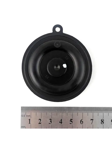 Мембрана для соленоидного клапана Raifil Sanlixin SLP1DF02NG 25, 1 дюйм