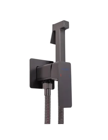 Змішувач для біде Globus Lux Milano GLM-0-106MIX-GP з гігієнічним душем