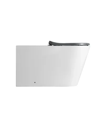 Унітаз Q-Tap Freedom Rimless WHITE QT22226098W, 800x365x435 мм, інклюзивний, безободковий підлоговий, сидіння Soft-close