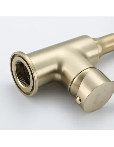 Змішувач для кухні Frap F4044-3 з гнучким виливом, 2 режими, чорний золото.