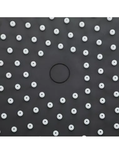 Лейка тропический душ F016-25, 250 мм, круглая, черный