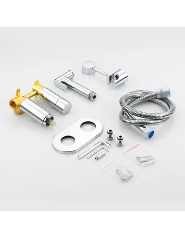 Набір для гігієнічного душу із змішувачем прихованого монтажу Frap F7508, хром