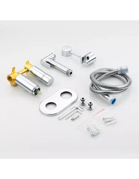 Набір для гігієнічного душу із змішувачем прихованого монтажу Frap F7508, хром