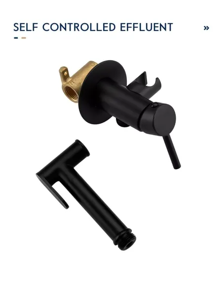 Набір для гігієнічного душу із змішувачем прихованого монтажу Frap F7505-6, чорний