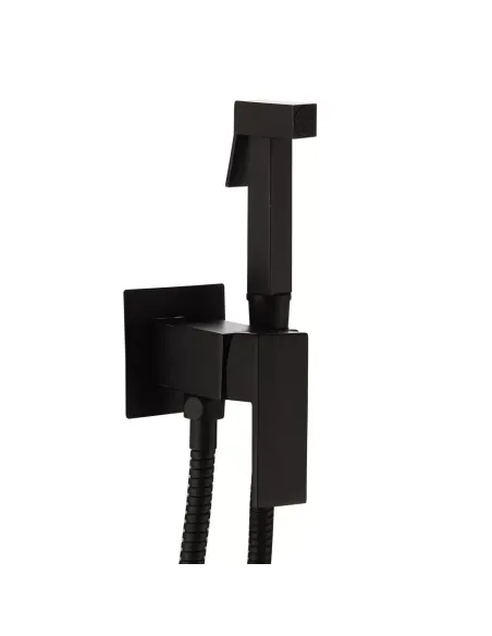 Набір для гігієнічного душу із змішувачем прихованого монтажу Frap F7506-6, чорний