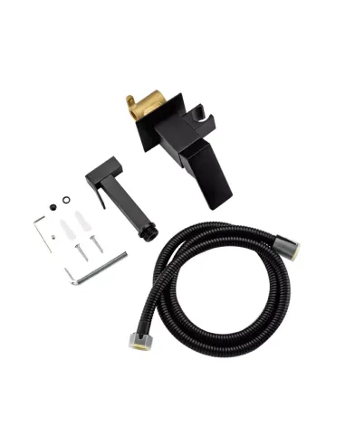 Набор для гигиенического душа со смесителем скрытого монтажа Frap F7506-6, черный