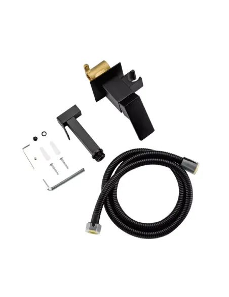 Набор для гигиенического душа со смесителем скрытого монтажа Frap F7506-6, черный