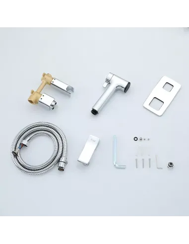 Набор для гигиенического душа со смесителем скрытого монтажа Frap F2084, хром