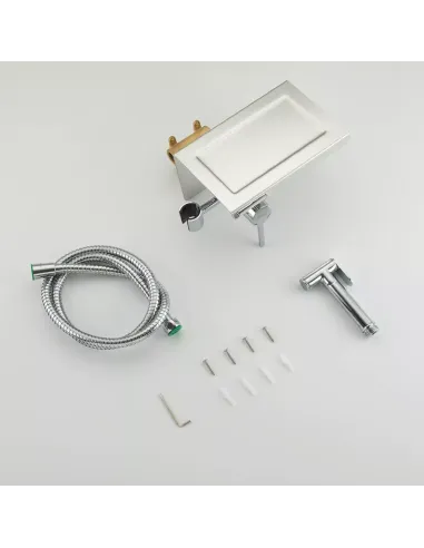 Набор для гигиенического душа со смесителем скрытого монтажа Frap F7516, бумагодержателем и полочкой, хром