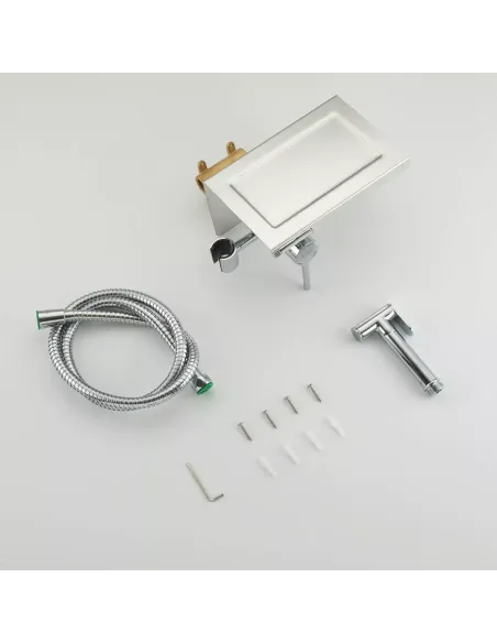 Набор для гигиенического душа со смесителем скрытого монтажа Frap F7516, бумагодержателем и полочкой, хром