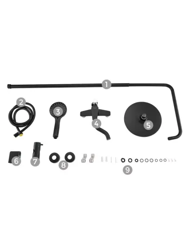 Душева система Frap F2429 з виливом, чорний