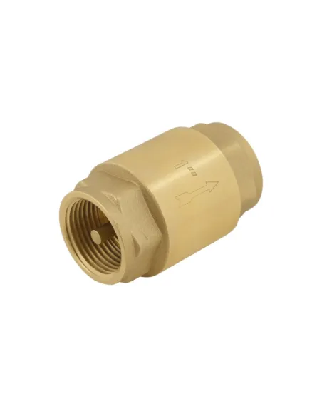Обратный клапан Raftec NRVF03 Europe 1 дюйм, латунный шток Обратный клапан Raftec NRVF03 Europe 1 дюйм, латунный шток