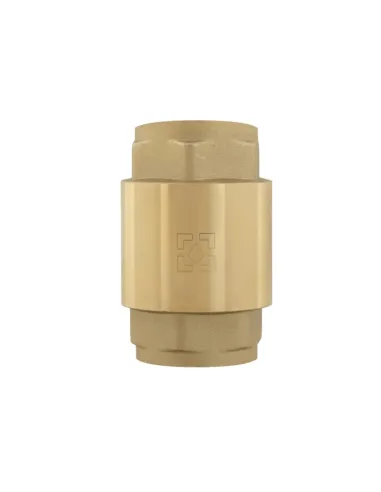 Обратный клапан Raftec NRVF03 Europe 1 дюйм, латунный шток
