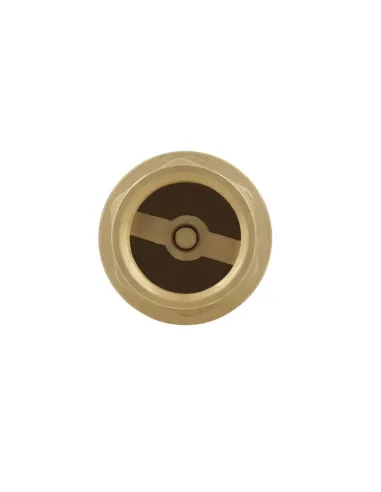 Зворотний клапан Raftec NRVF03 Europe 1 дюйм, латунний шток