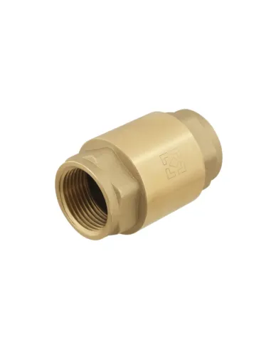 Обратный клапан Raftec NRVF03 Europe 1 дюйм, латунный шток