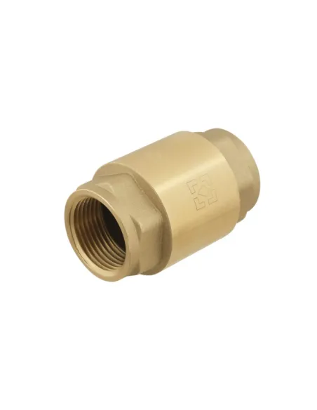 Обратный клапан Raftec NRVF03 Europe 1 дюйм, латунный шток Обратный клапан Raftec NRVF03 Europe 1 дюйм, латунный шток