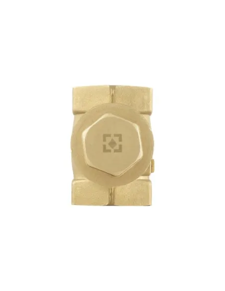 Зворотній клапан Raftec ВВ 2 дюйми, латунний шток Зворотній клапан Raftec ВВ 2 дюйми, латунний шток