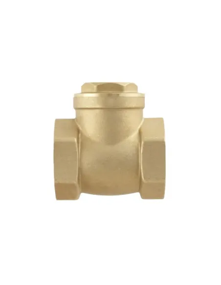 Зворотний клапан Raftec ВВ 1 1/4 дюйма, латунний шток