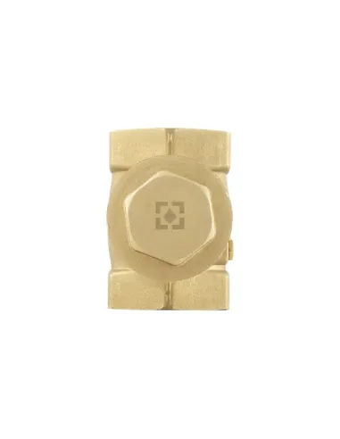 Обратный клапан Raftec ВВ 1 1/4 дюйма, латунный шток