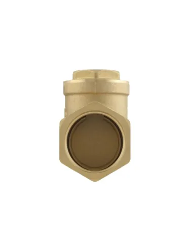 Обратный клапан Raftec ВВ 1 1/4 дюйма, латунный шток