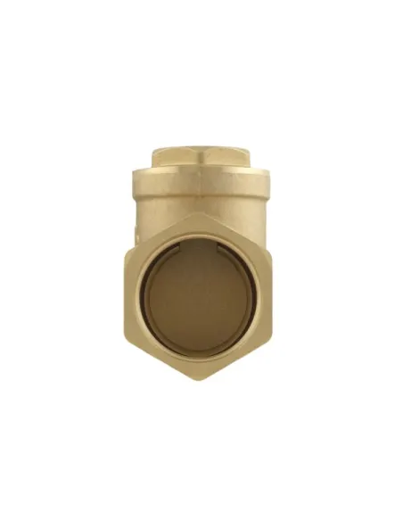 Зворотний клапан Raftec ВВ 1 1/4 дюйма, латунний шток