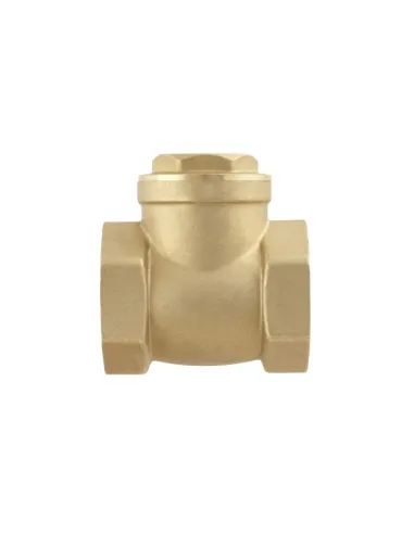Обратный клапан Raftec PSWNV03 ВВ 1 дюйм, латунный шток
